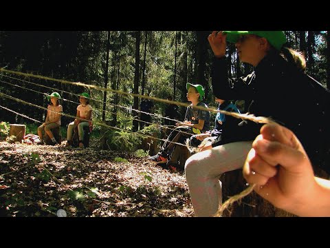 50 Jahre Waldjugendspiele, Landkreis Dingolfing-Landau