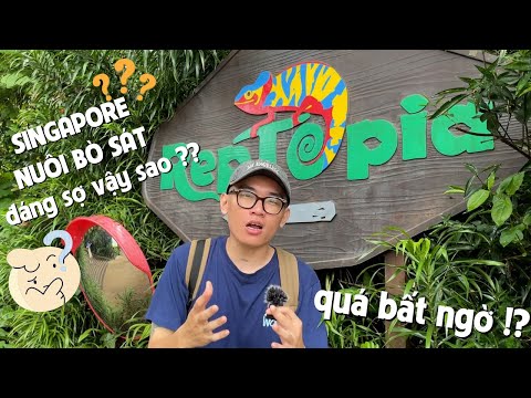 Video: Sở thú Singapore: đánh giá, địa chỉ, ảnh