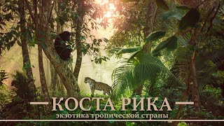 Коста Рика. История страны. Тропическая экзотика