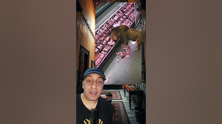 عاجل : اسد يقتحم سوبر ماركت 😱😲😳  #news