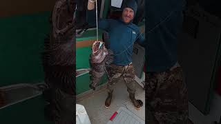 Findlay and Sparrow Kilcher Catch! Content