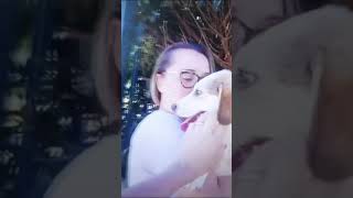 13 Giugno 2024 Sofia Cucciola Bella E Coccolosa Cerca Chi La Ami Per La Vita Giulia 3477304226