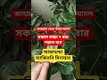 জাহান্নাম থেকে বাচার আমল #islamicvideo #ammal