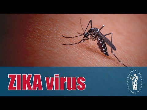 Video: Virus Zika Může Bojovat S Rakovinou - Alternativní Pohled