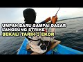 EDAN TENAN !! Umpan Baru Turun Langsung Strike, 3 Ekor Ikan Sekali Tarik - Asli Mancing Mania #219