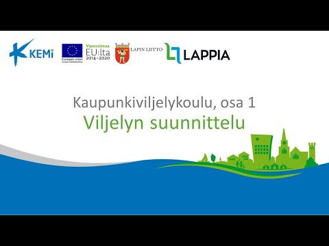 Video: Ympärivuotiset ruukkusipulit – pakkosipulien uudelleenkäyttö ruukuissa kukinnan jälkeen