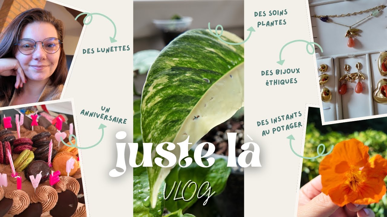 🌿 Slow vlog entre maison & jardin || Juste là – Un quotidien doux d’août