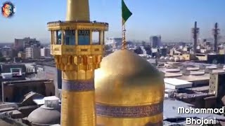Shahadat E Imam Ali Reza 17 Safar Whatsapp Status