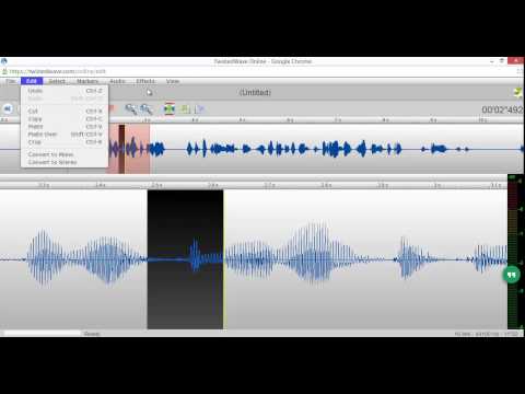 Vídeo: Com editar un fitxer MP3: 9 passos (amb imatges)