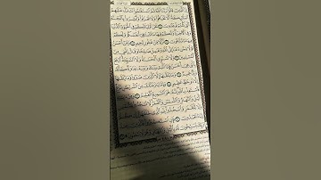سورة فصلت من الاية 30الى الايه 36 #foryou #اكسبلور #المصحف #القرآن_الكريم #لايك #دويتو