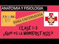 1-3 ¿QUE ES LA HOMEOSTASIS? Retroalimentacion positiva y negativa