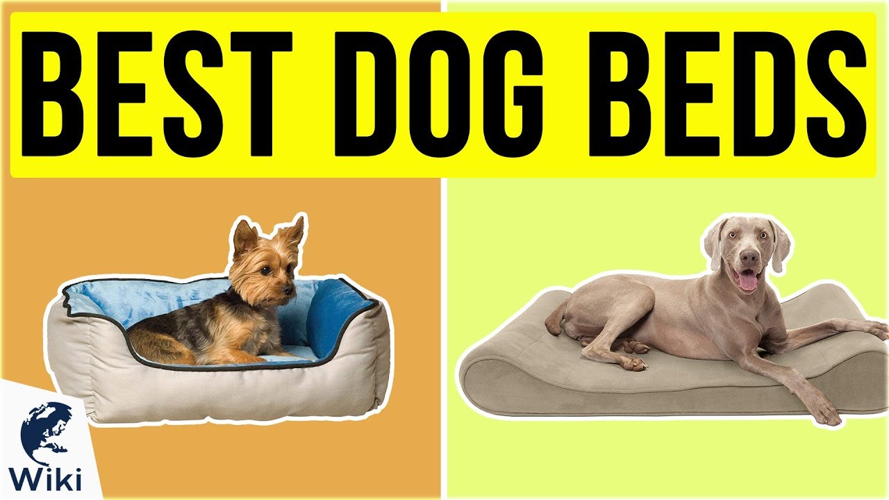 10 Best Dog Beds 2020 YouTube