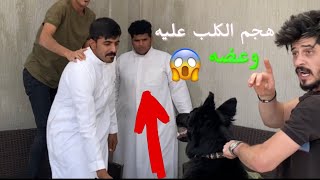 مقلب تروك الدبيه الكلب عض تروك من مكان حساس 😂😂🙆🏻‍♂️