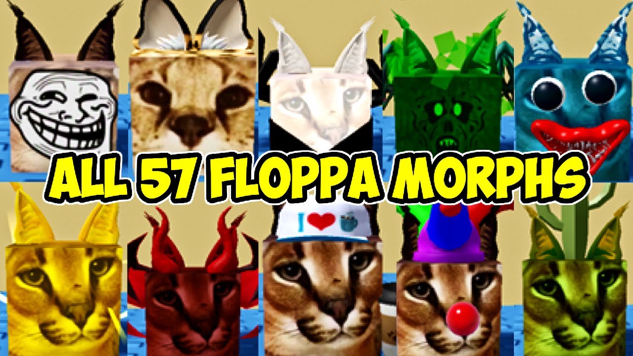 How to get the SOGGA CUBE BADGE & MORPH in FIND THE FLOPPA MORPHS