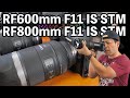 【カメラ】Canonの新しい超望遠レンズ 「RF600mm F11 IS STM」「RF800mm F11 IS STM」はどんなレンズなのか実機で紹介！