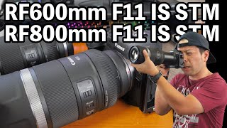 【カメラ】Canonの新しい超望遠レンズ 「RF600mm F11 IS STM」「RF800mm F11 IS STM」はどんなレンズなのか実機で紹介！
