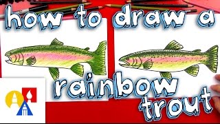 How To Draw A Rainbow Trout