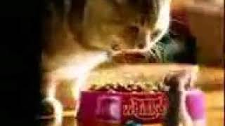 Allahin Salami Merhemeti Şefqeti Ve Qüdreti Üzerinize Olsun