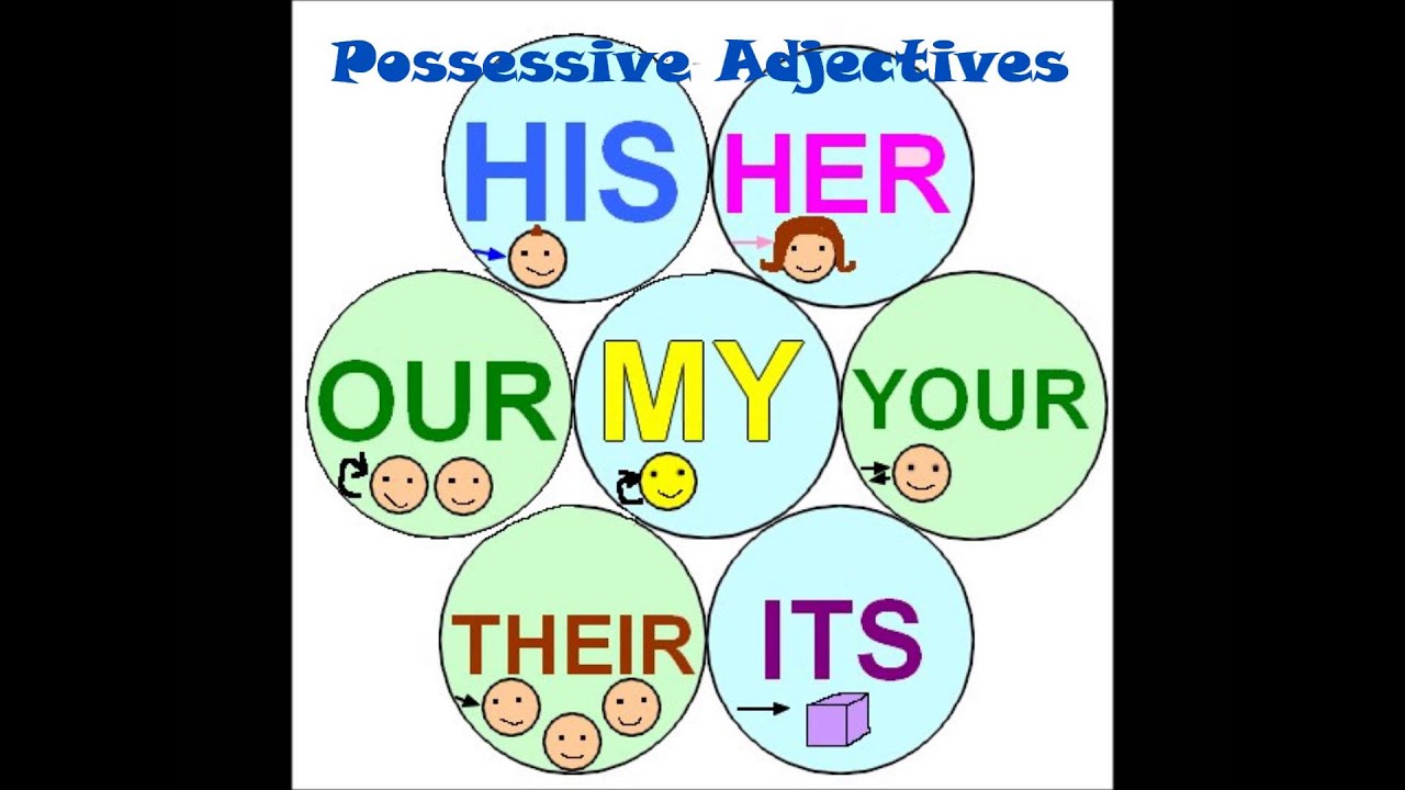 Упражнения them their. Possessive pronouns для детей. Карточки для детей my his her. Личные местоимения на английском для детей. Карточки possessive pronouns.