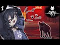 【Stray:1】猫になるやつ【奏手イヅル/ホロスターズ】