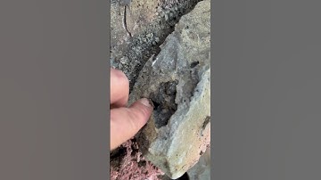 Digging for herkimer diamonds #herkimers #rockhound rock hound guide