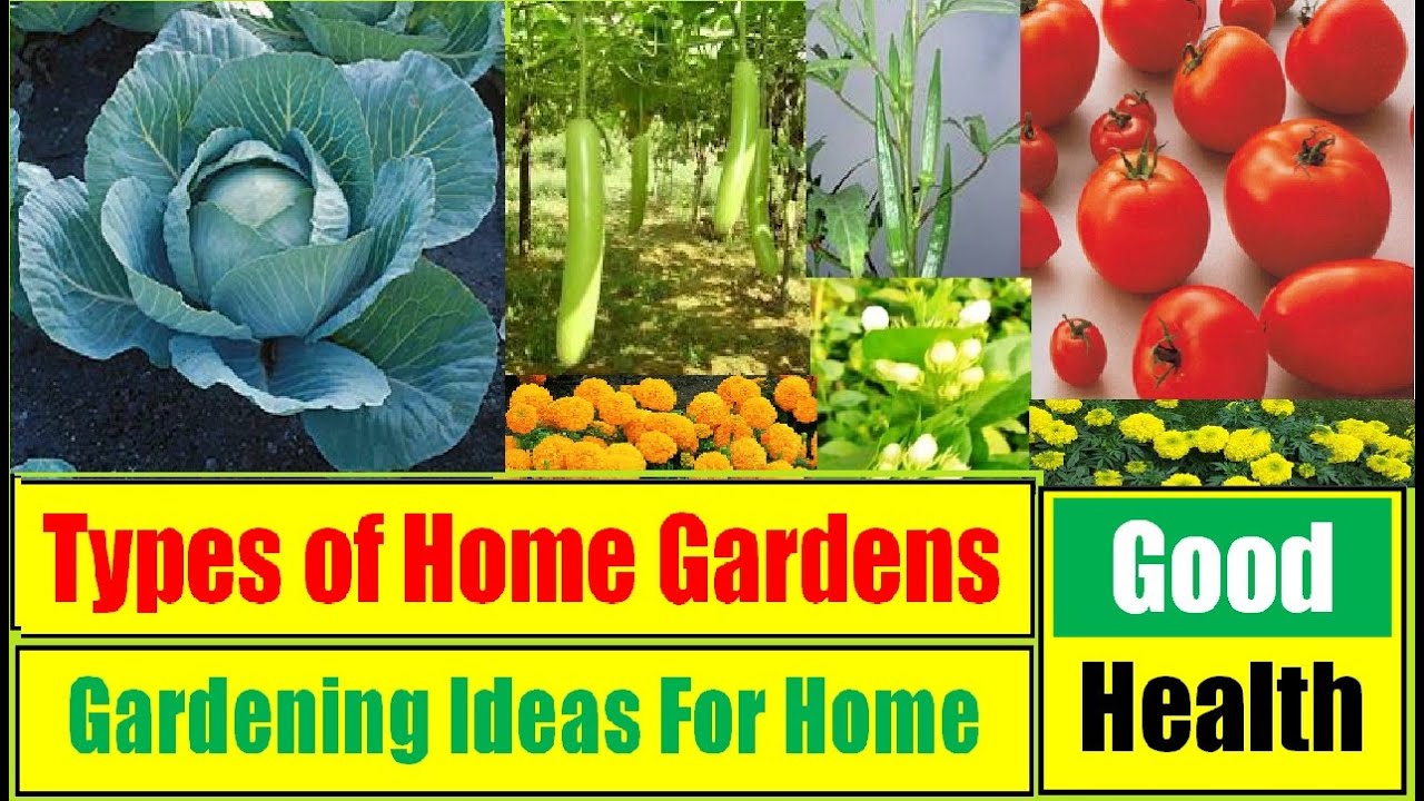 Home Gardens | Terrace garden ideas | Gardening ideas for Home | Small