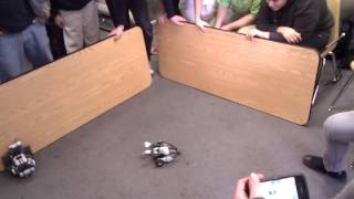 Famous Python-programmed Scatterbots Part 3 Net Worth