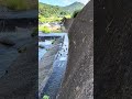 涼しい〜