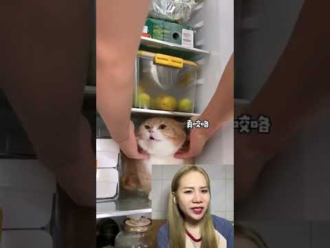 Những clip đáng