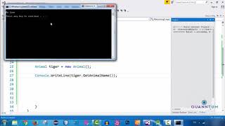 30 Introduction to Objects and Classes in C   Part 7