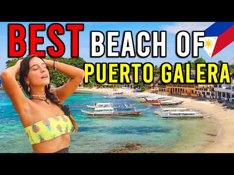 Foreigners SHOCKED in PUERTO GALERA - Big La Laguna Beach (Travel Philippines)