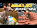 ANIMALIA VERANO 2022 | Los animales más raros y exóticos