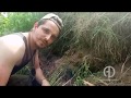 Как найти болотную руду