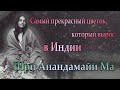 Самый прекрасный цветок, который вырос в Индии - Шри Анандамайи Ма - цитаты, афоризмы, высказывания