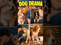 4 Weird Social Dramas Your Dog Does