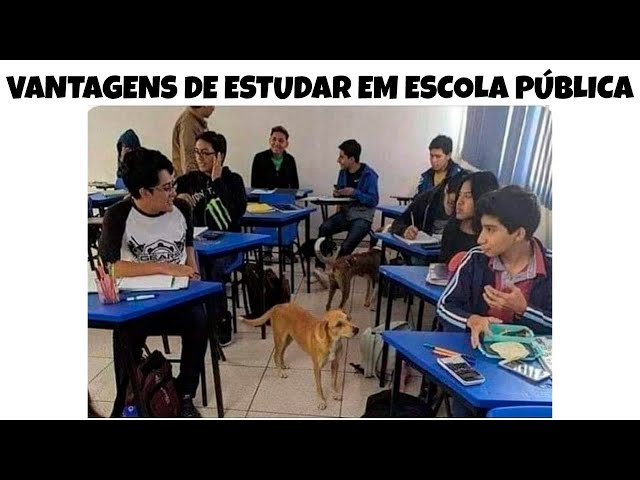 30 MINUTOS!! MEMES EM IMAGENS ENGRAÇADOS - Quando você tem iphone em escola  publica 