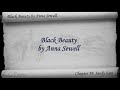 Part 3 - Black Beauty Audiobook by Anna Sewell (Chs 37-49)