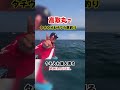 やっぱり釣れる高取丸でタチウオとサワラの餌釣り　#釣り　#fishing