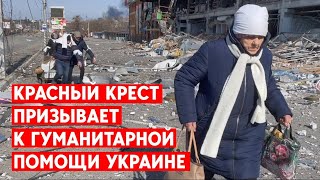 Международный Красный крест призывает к гуманитарной помощи Украине