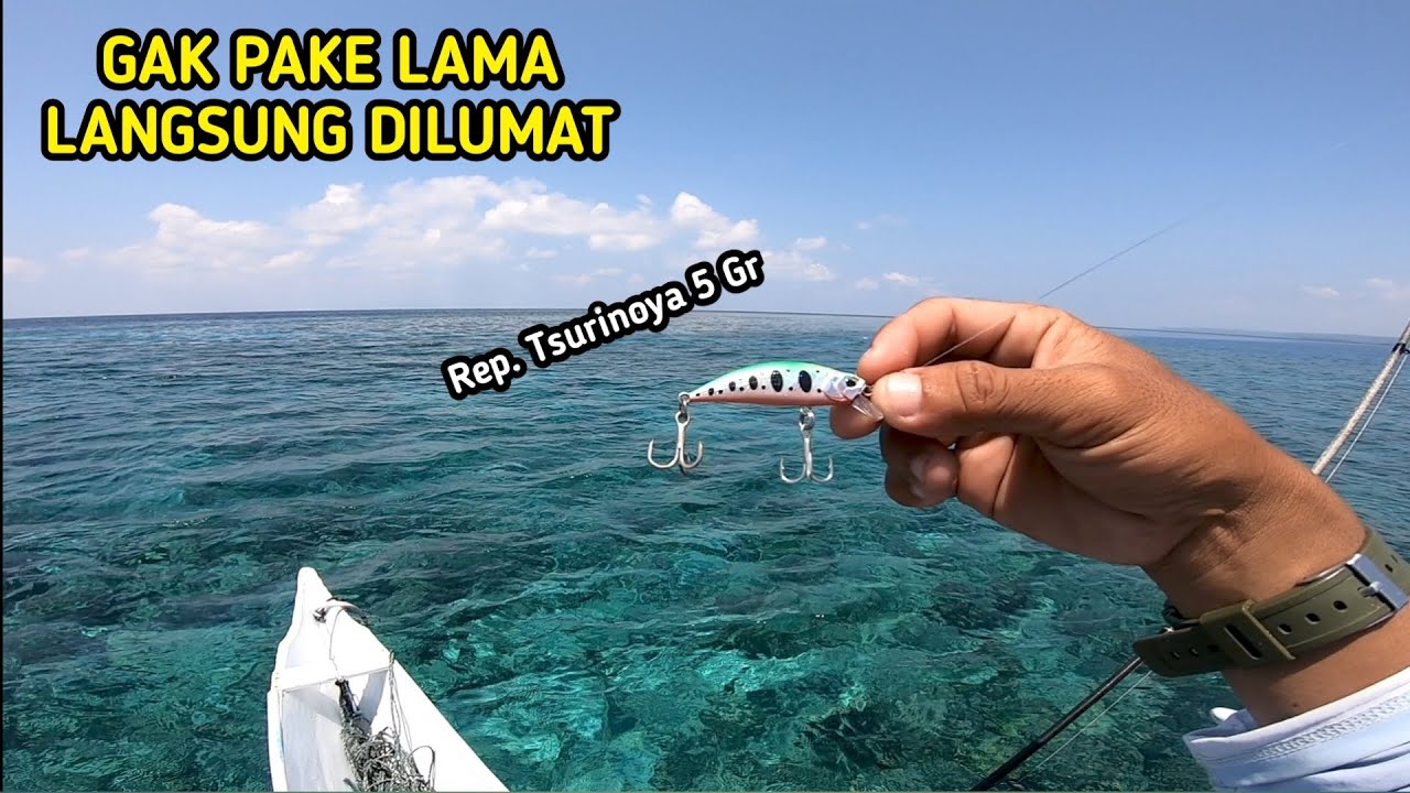 Mancing Ultralight Casting Pakai Minnow 5 Gram Replika Tsurinoya Kesukaan Predator Karang Dangkal