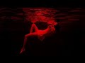 🕺🏻NEON AFTERLIFE ⚡ | 🎧🎧🎧THE ULTIMATE CYBERPUNK EDM EXPERIENCE🔊🔊🔊