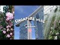 Singapore vlog 2024   sakura in flower dome shopping aesthetic places local food  cafes