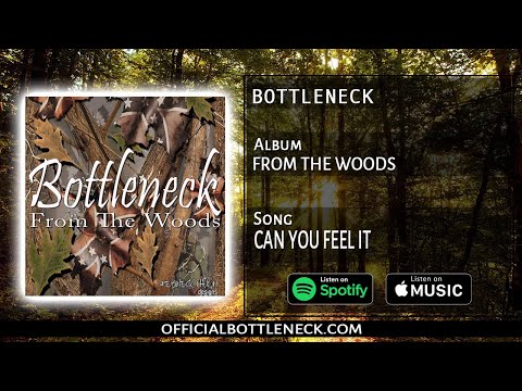 Album: From the woods Song: Can you feel it (BOTTLENECK)