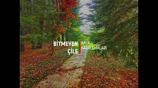Bitmeyen Çile - Kalp Karalamaları Şiir Resimi