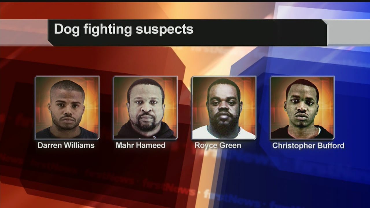 4 Warren men busted in Akron dog fighting sting