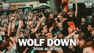 Wolf Down - Summerblast 2016 ( HD Live Video - Full Concert)