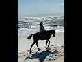 Mazske horseback riding