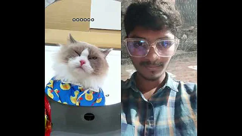 Watch the video about Wait for end 🥹 #trending #shortvideo #reels #funny #cat