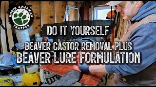 BEAVER Castor Removal with BEAVER Lure Formulation