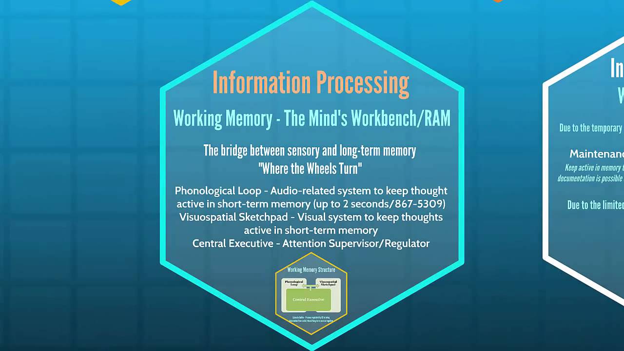 INST 301 - Cognitive Learning Theories